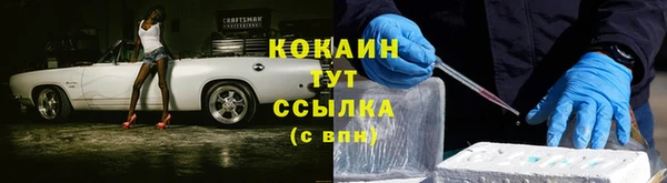 сатива Балахна