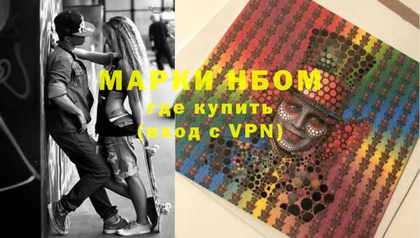 сатива Балахна
