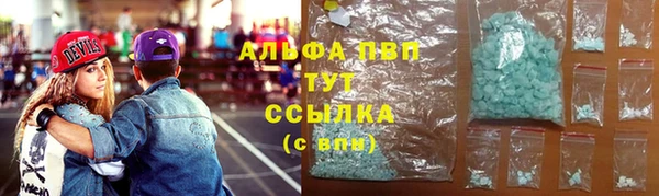 сатива Балахна