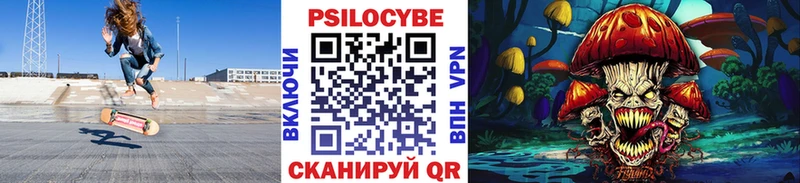 Псилоцибиновые грибы мицелий где купить наркоту Геленджик